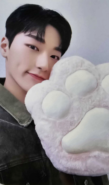 ATEEZ Golden Hour - Official Pob Photocards (Paw Version)