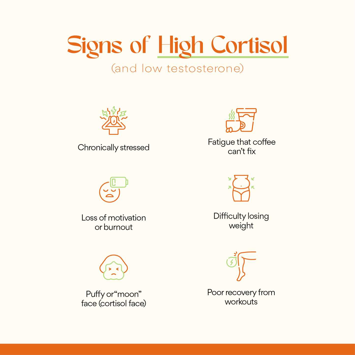 Cortisol, Who? - Osadia Concept Store
