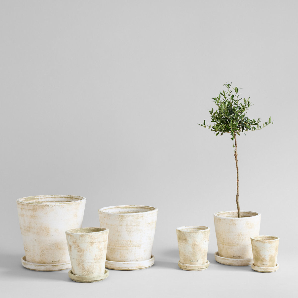 Basic Planter Tray, White Patina