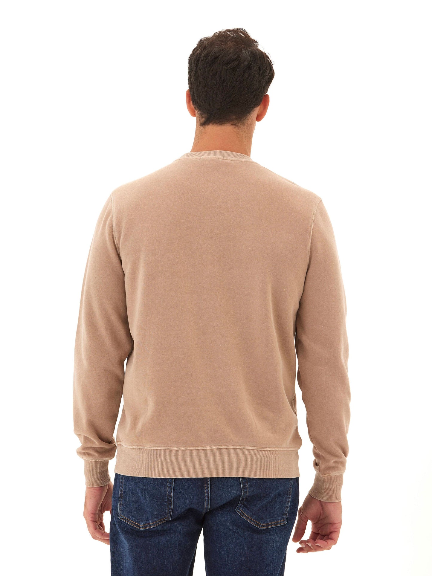 Mineral Wash Graphic Fleece Crew