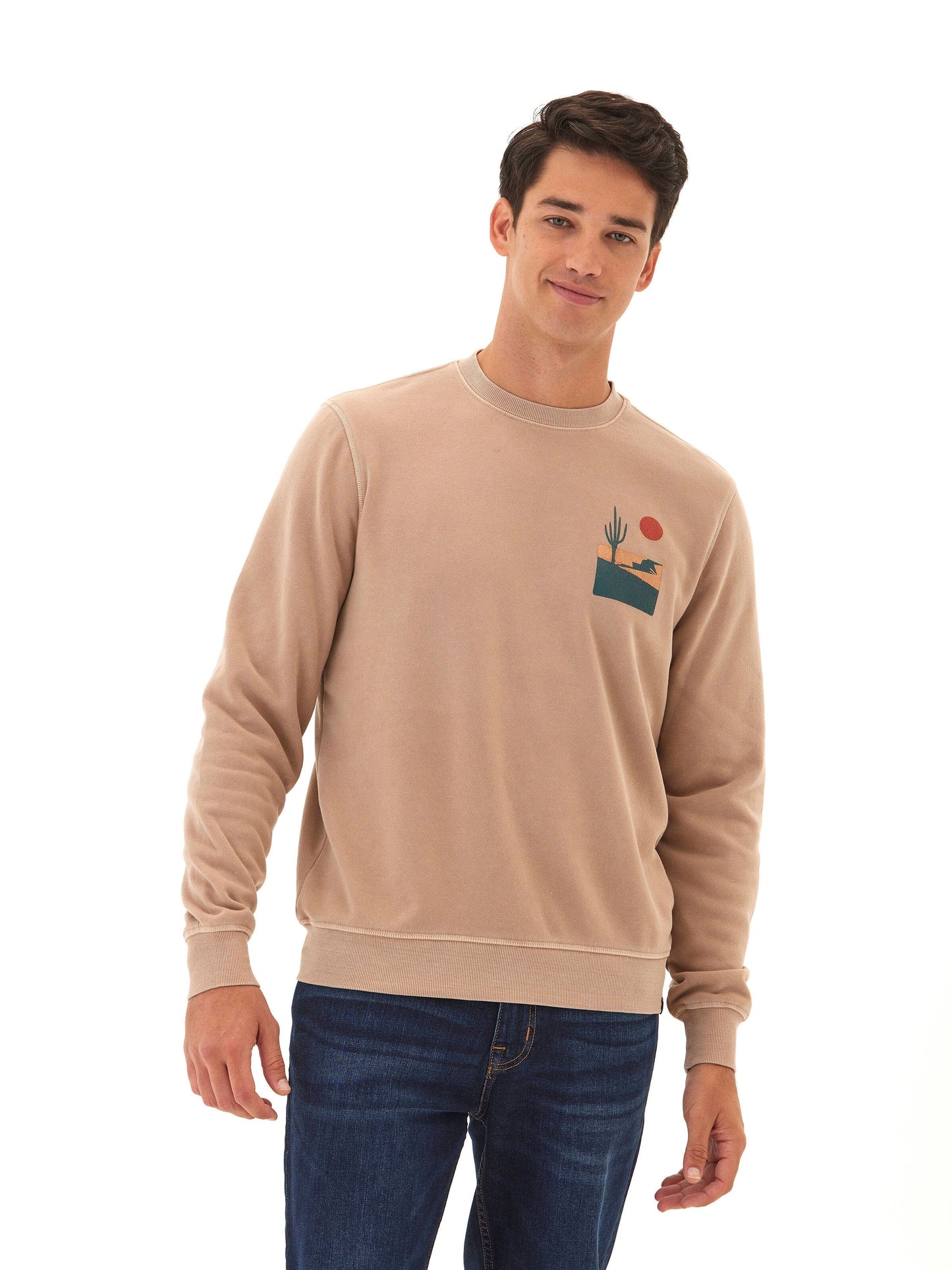 Mineral Wash Graphic Fleece Crew