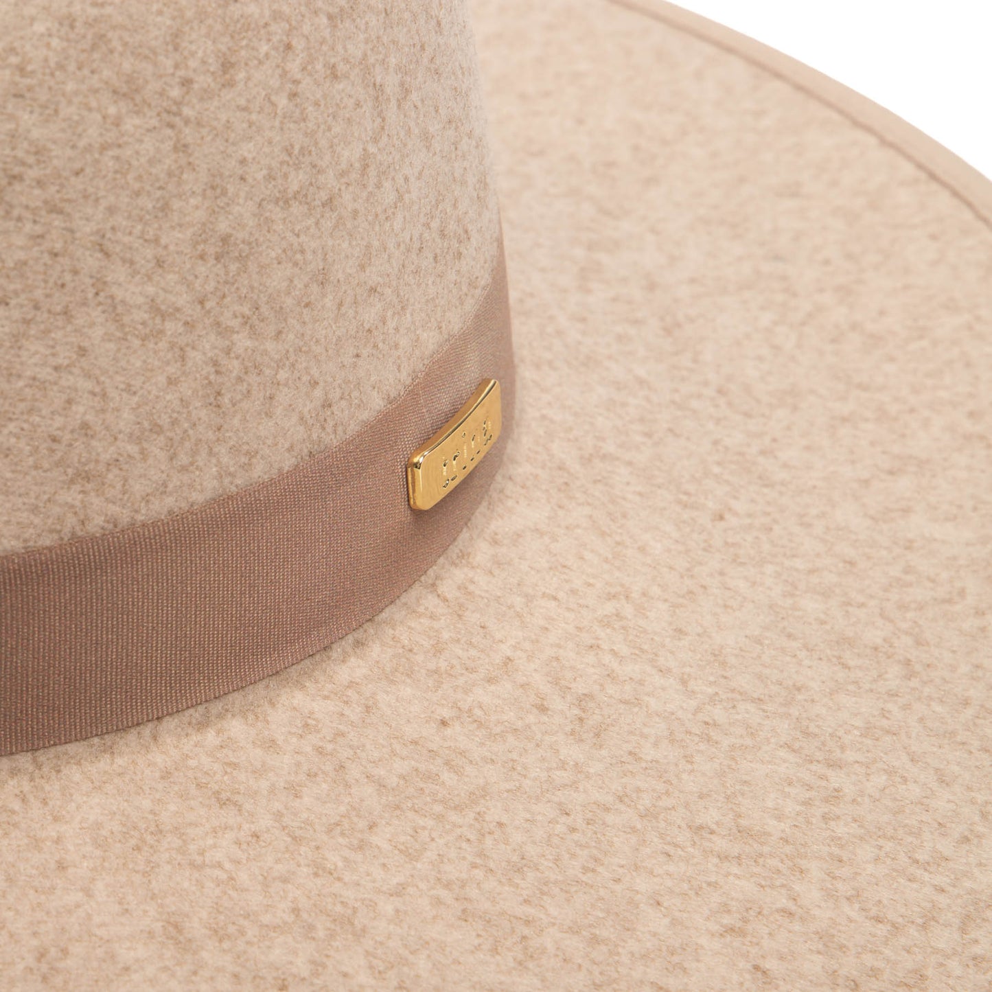 Monica Round Crown by Trina Turk (TTT1011)