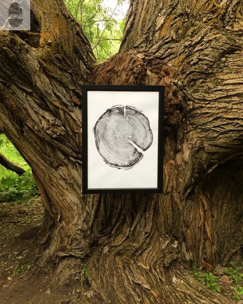 Uinta Mountains, Utah Pine - 18x24 print