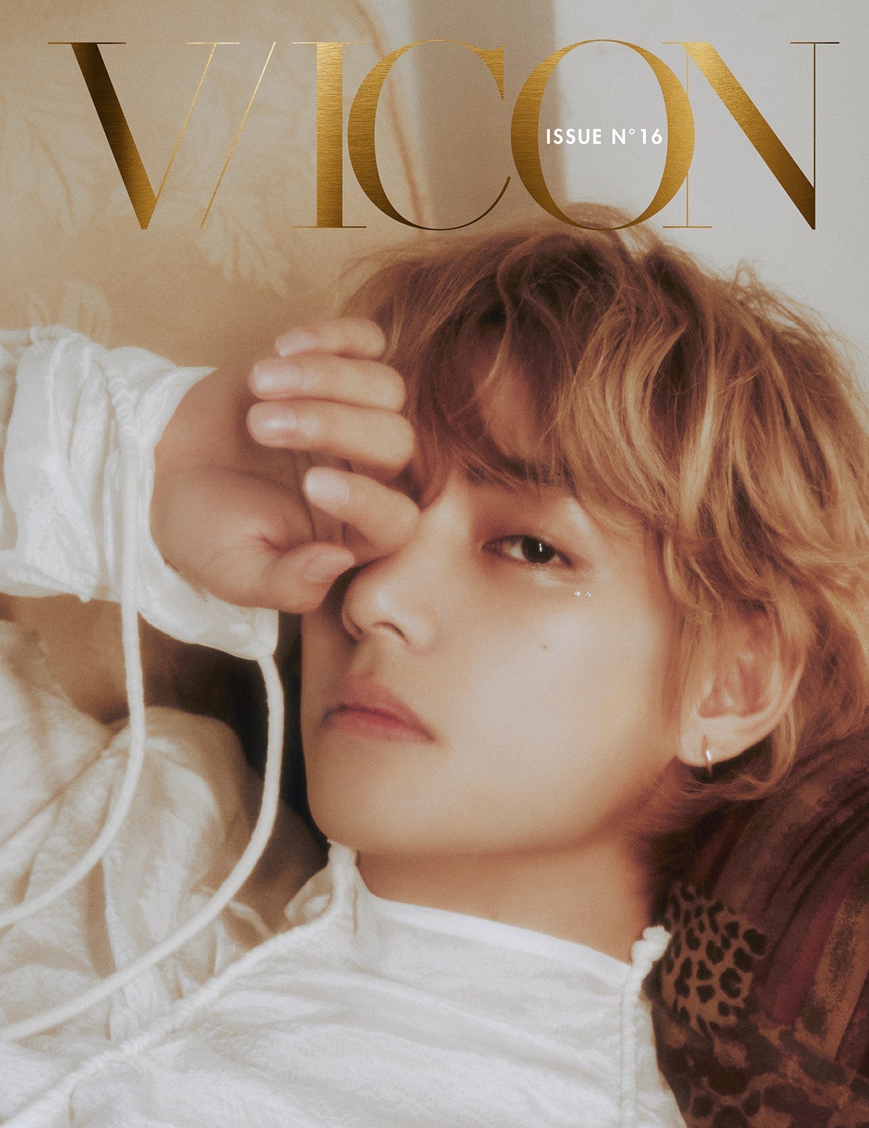 BTS V - Dicon Issue NÂ°16 V : Vicon