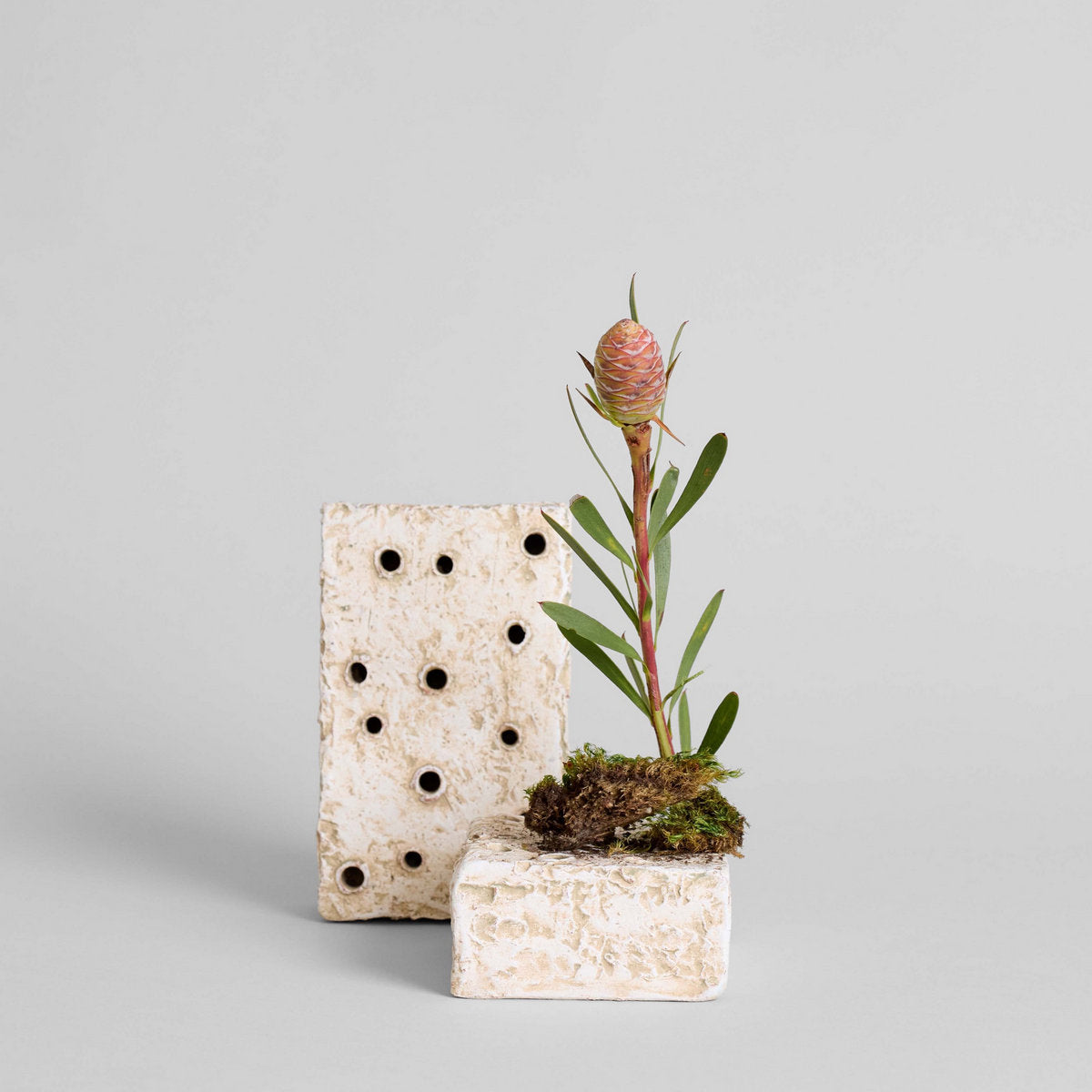 Ceramic Frog Block, White Patina