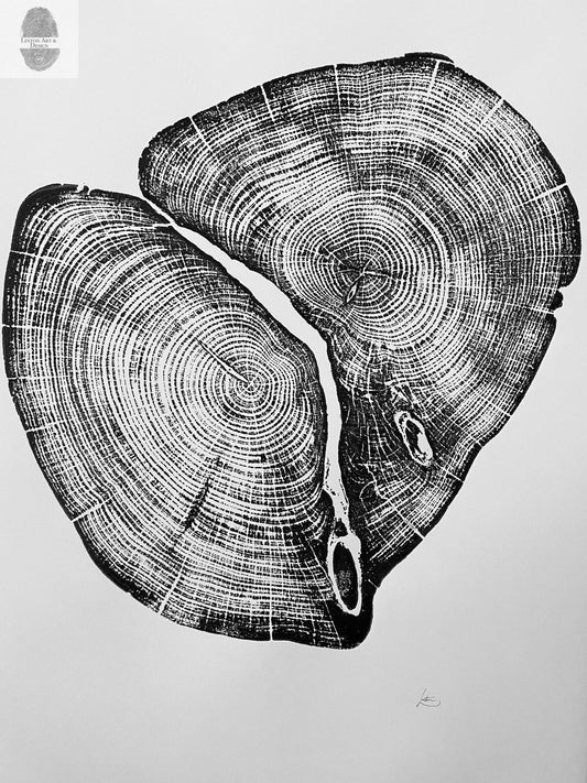 Waco Texas Cedar - 18x24 print