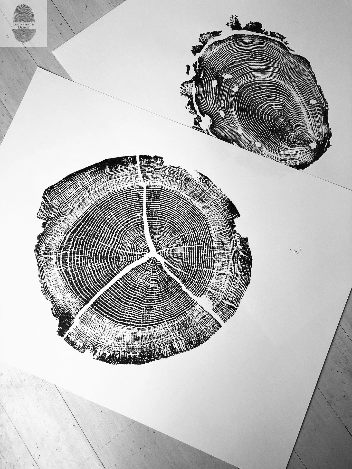 Walden Pond Print, Massachusetts Tree Ring Print - 18x24 print - Signed Original