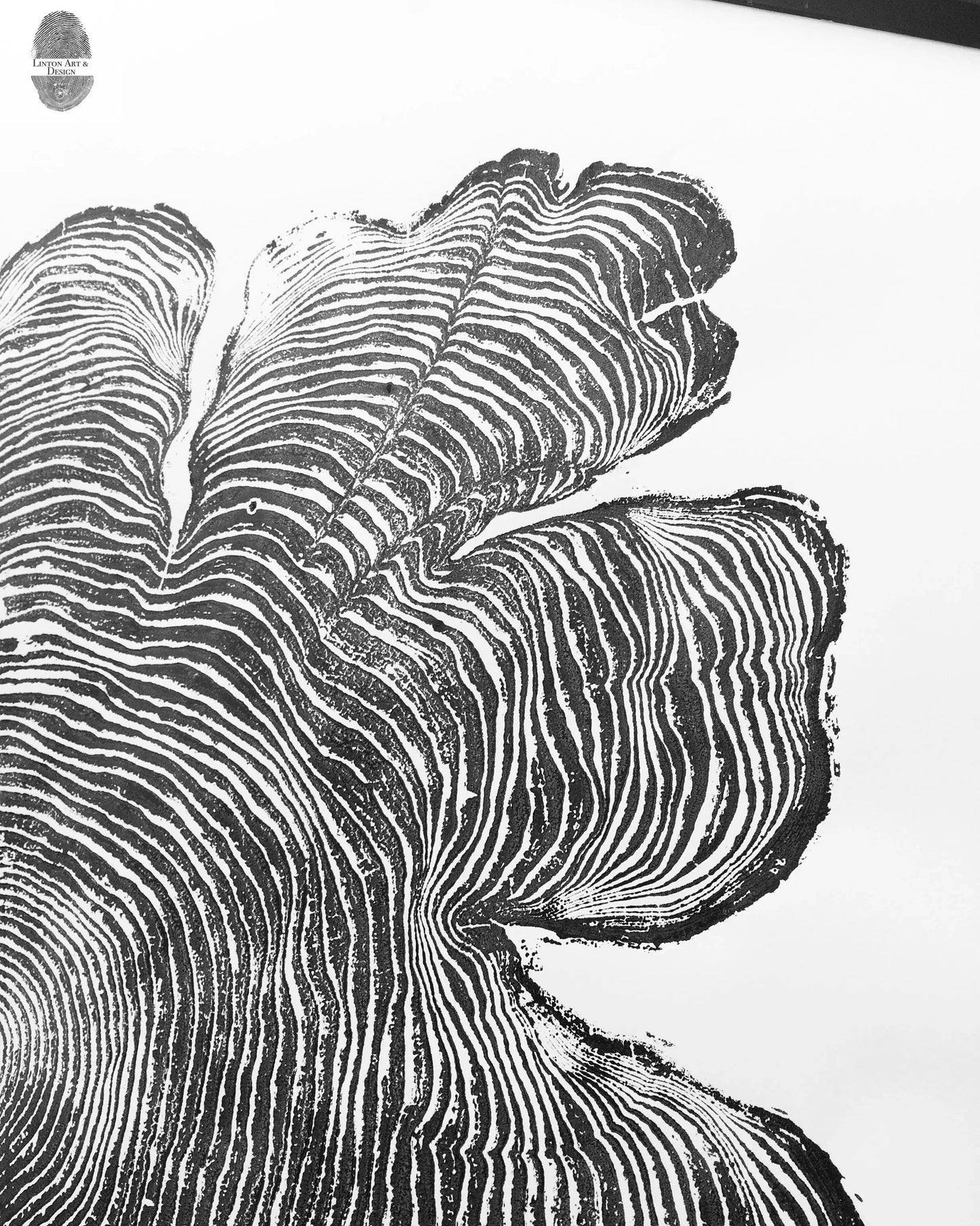 Western Red Cedar Woodcut Print • Oregon Coast Tree Ring Wall Art • PNW Nature Art 24×48″ Hand-Printed