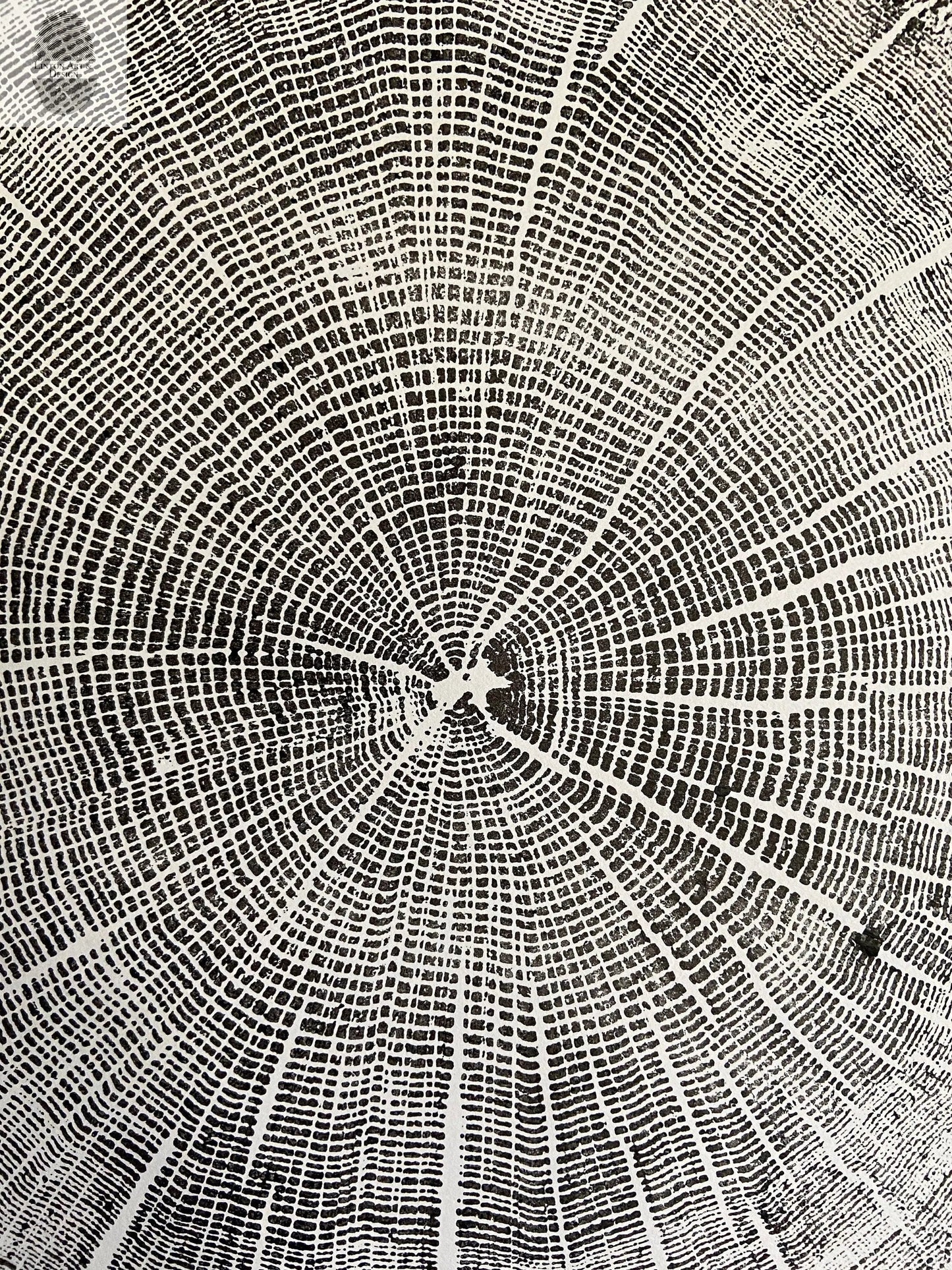 York, Maine Oak - 18x24 print