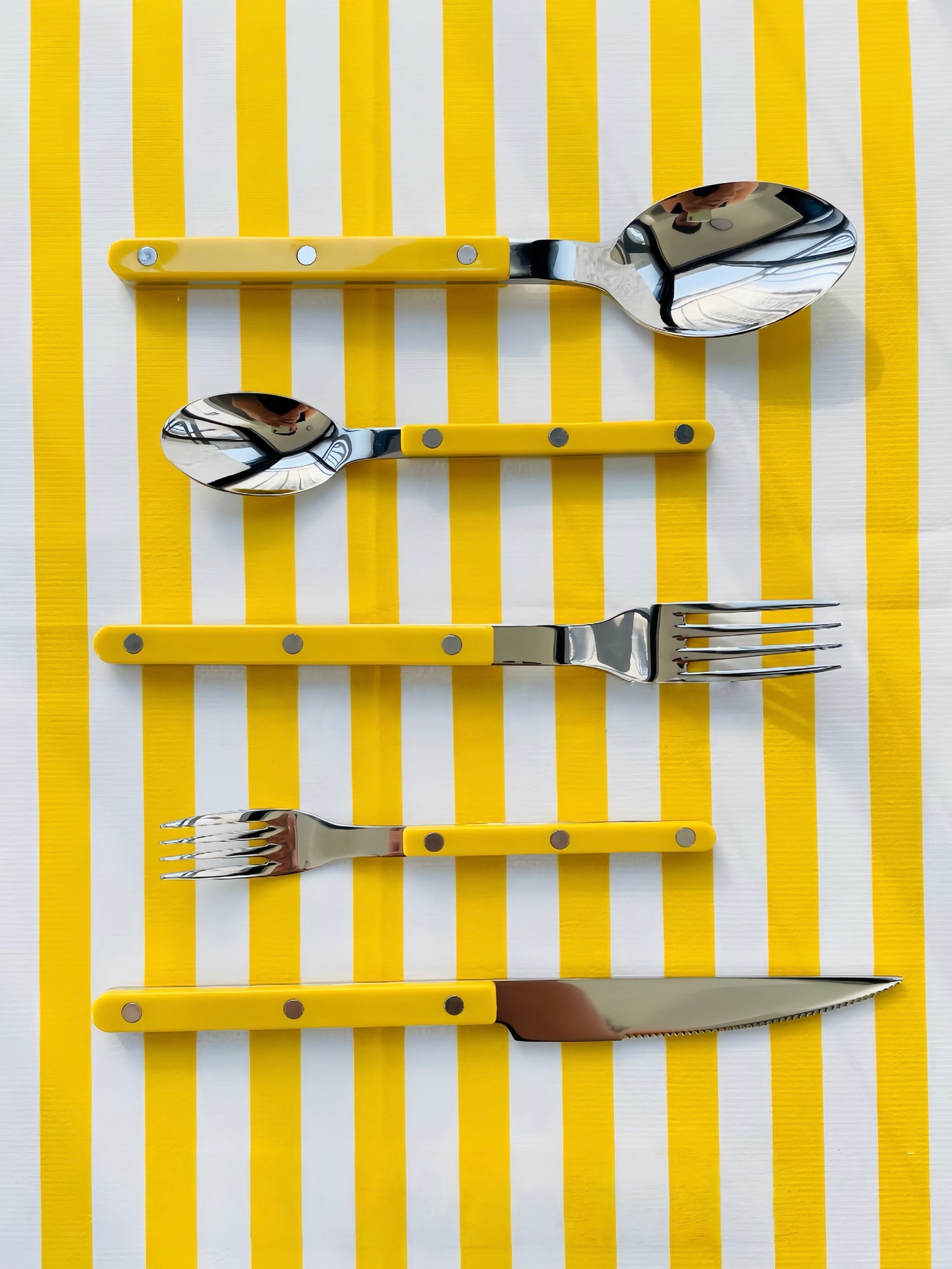 S/10 Dopamine Stainless Steel Rivet Flatware, Contemporary Bistrot Style Cutlery