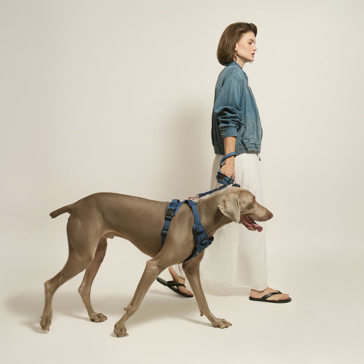 NoMad Adjustable Dog Walking Set - Denim