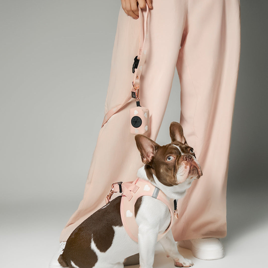 SoHo Dog Walking Set - Sweetheart
