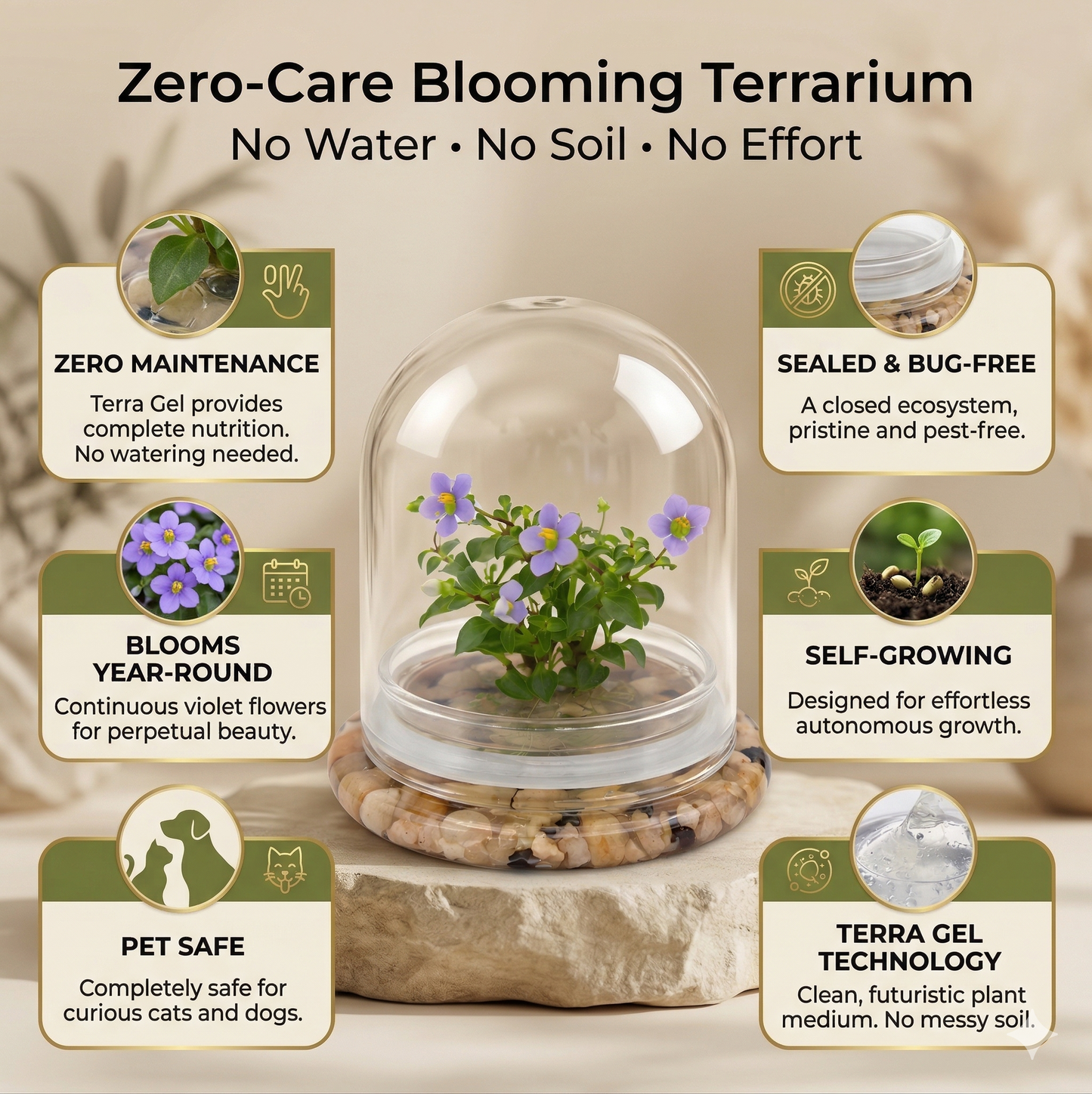 Persian Violet Terrarium, Elegant Live Flowering Plant Gift, Continuous Blooming, Self-Growing, No-Watering, Zero-Maintenance Indoor Glass Décor