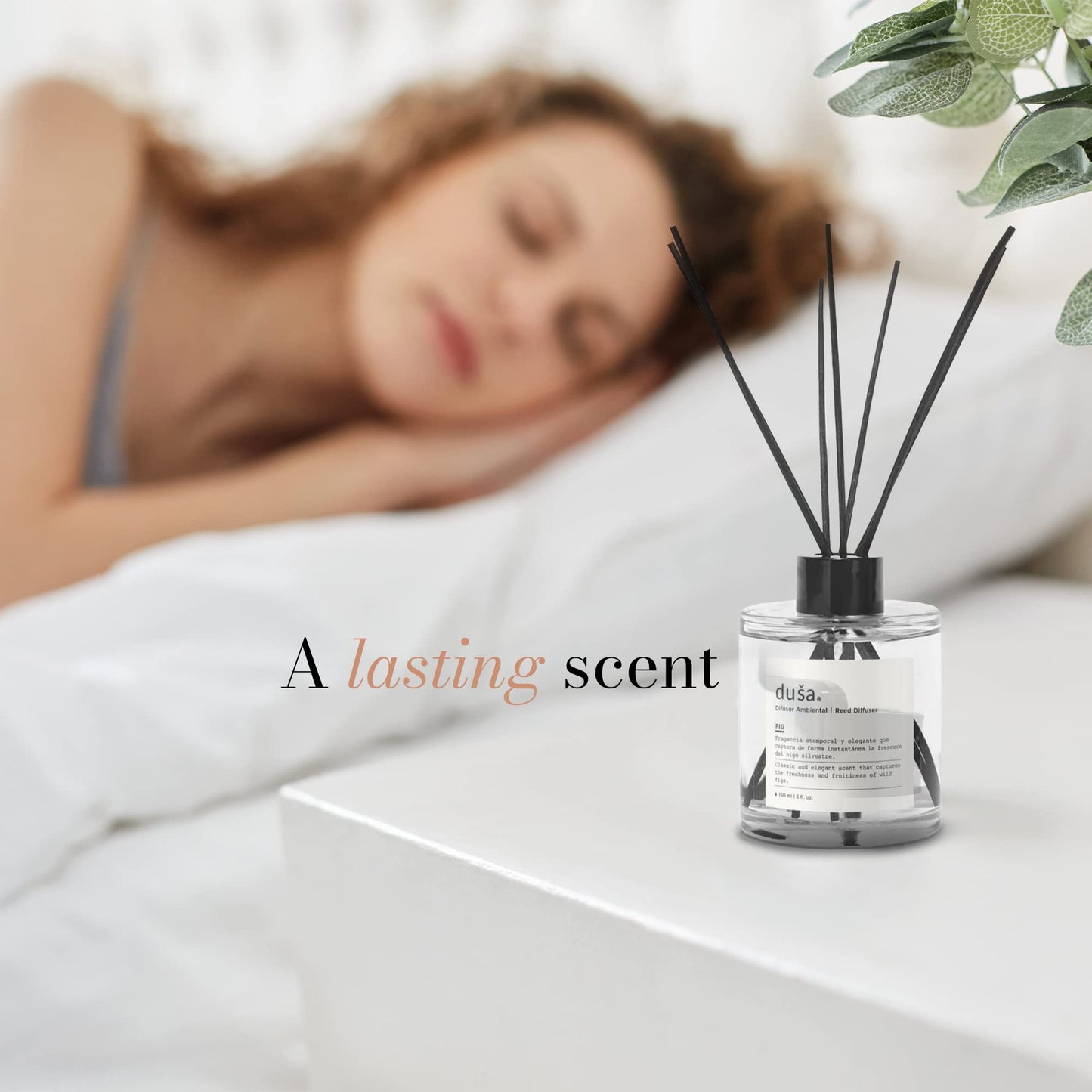 GRAPEFRUIT - 5 FL OZ REED DIFFUSER