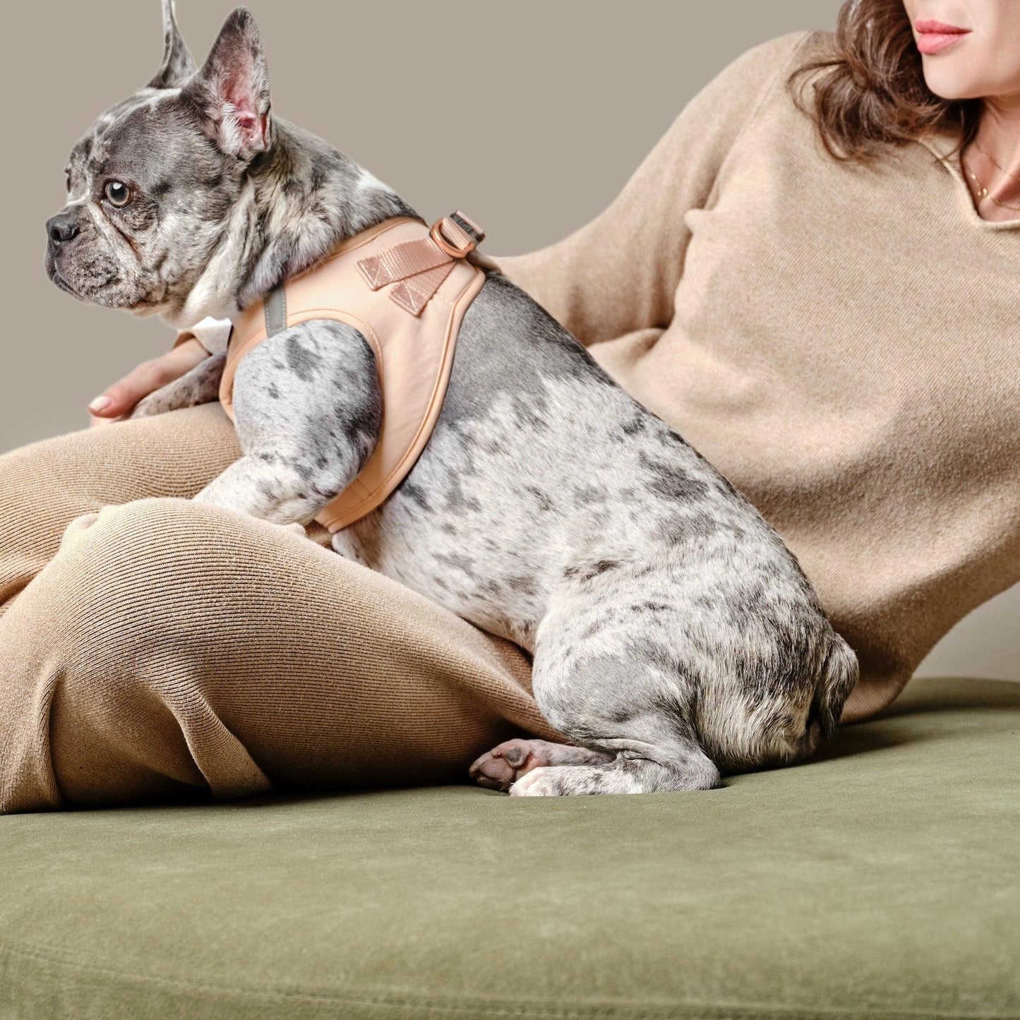 SoHo Dog Walking Set - Dune