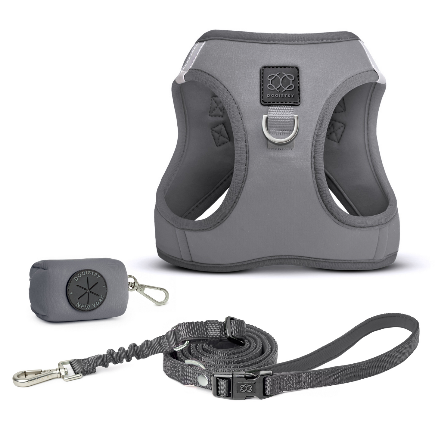 SoHo Dog Walking Set - Steel