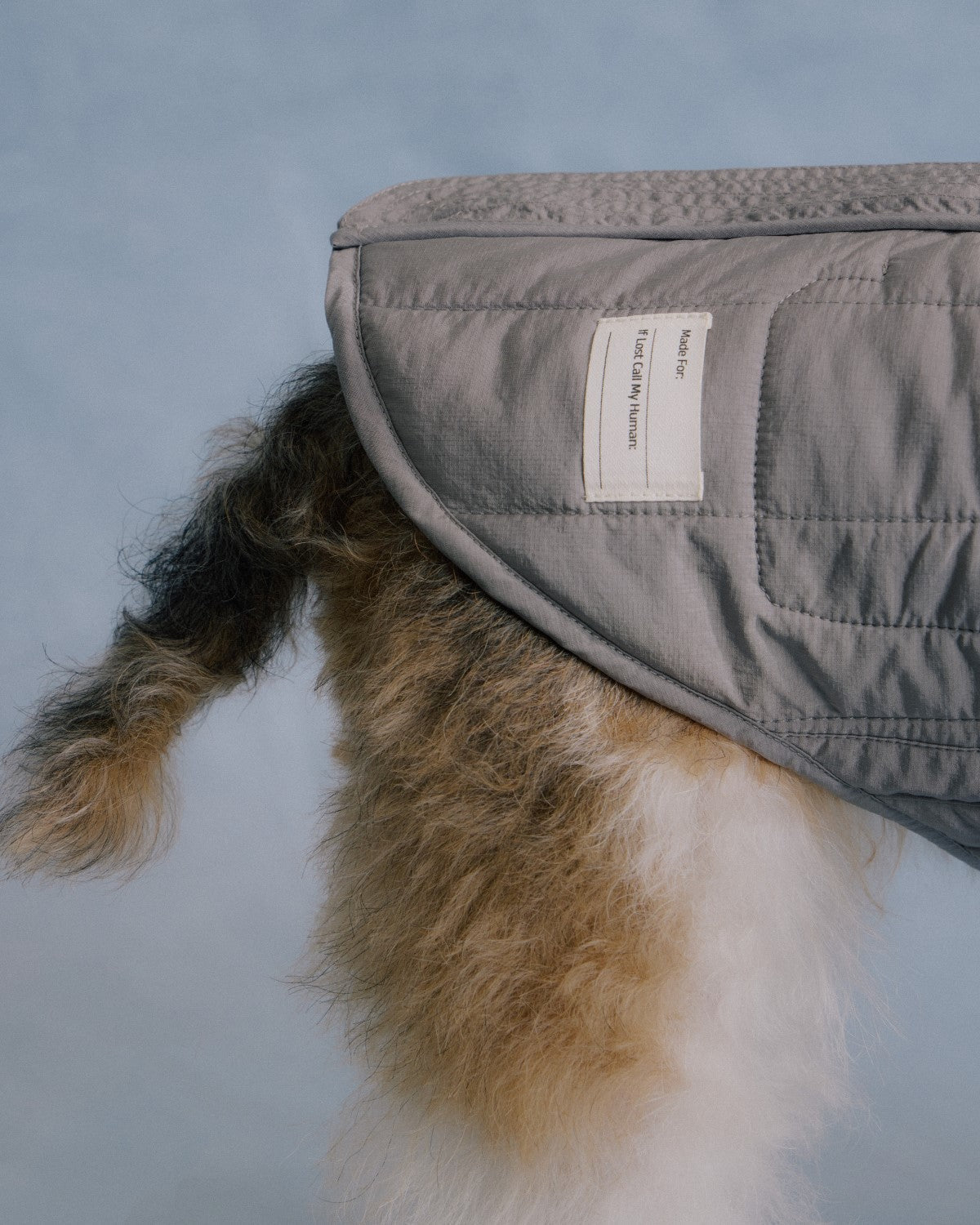 The Gemina | Reversible Quilted Dog Coat | Twilight Purple