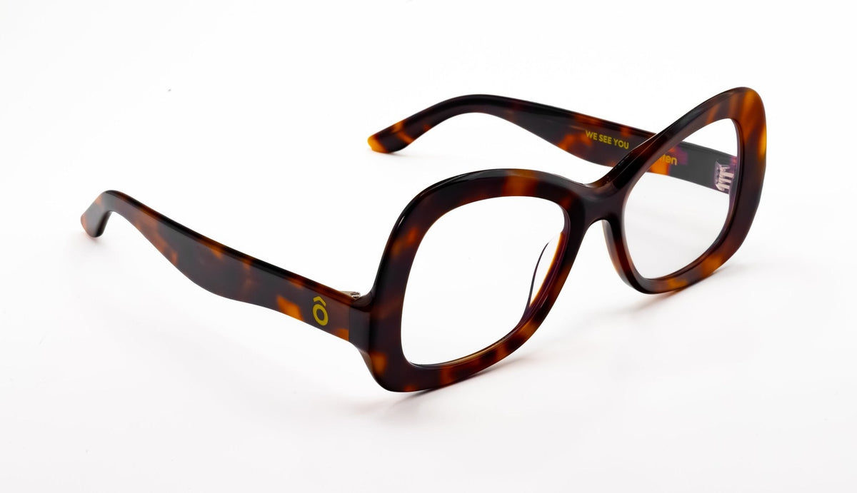 Anansi Tortoise Brown
