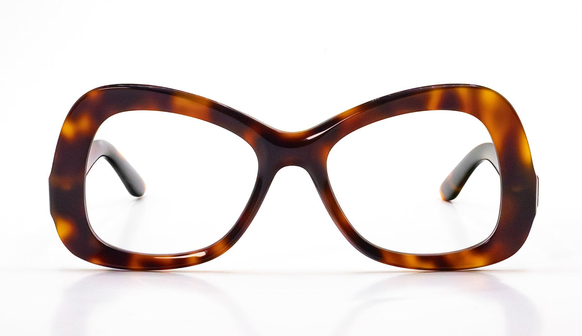 Anansi Tortoise Brown