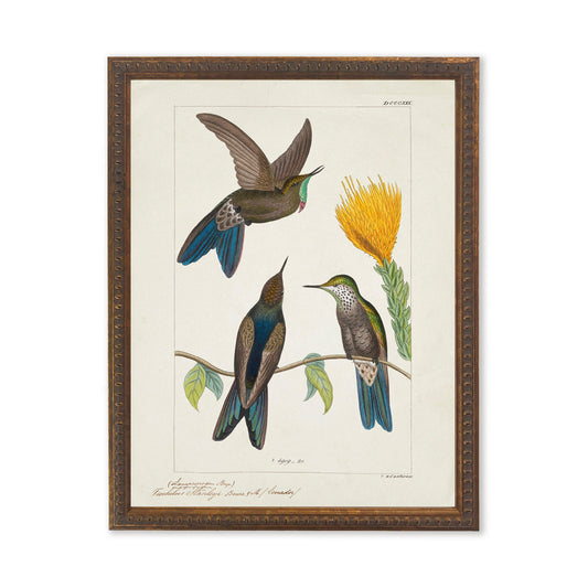Hummingbirds Around Yellow Flower in Bronze-Beaded Frame