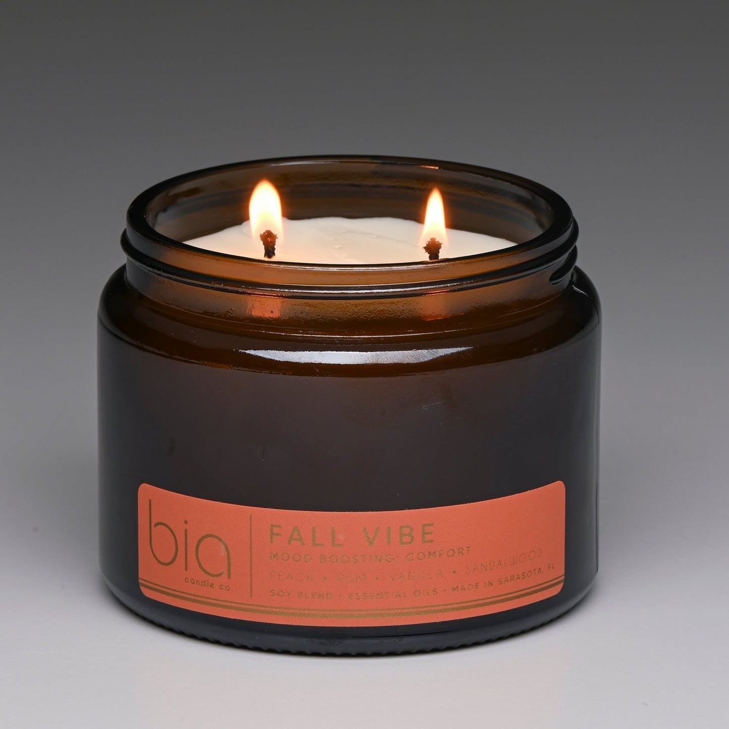 Fall Vibe Functional Fragrance Soy Blend Candle — Spiced Fruit, Cedarwood & Vanilla
