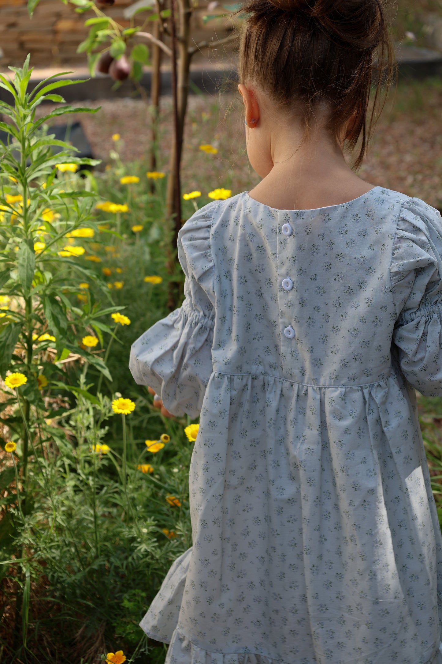 Fiona Dress-Fleur de Brume