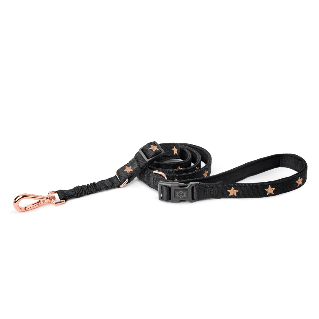 NoMad Adjustable Dog Walking Set - Rockstar