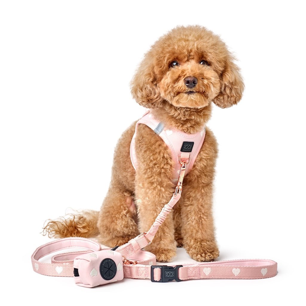 SoHo Dog Walking Set - Sweetheart