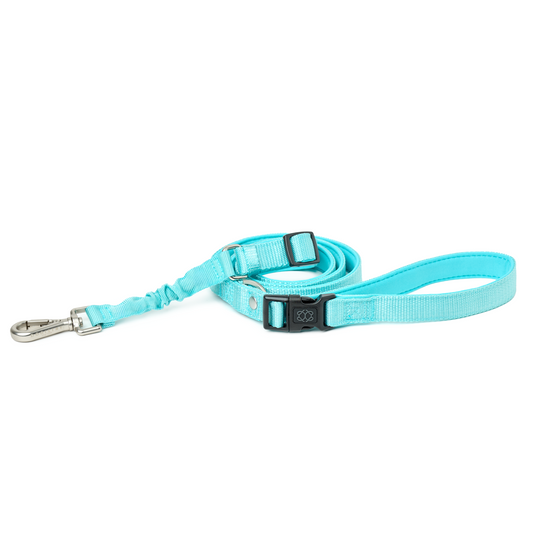 3-in-1 City Dog Leash - Fifth Avenue