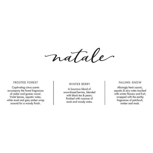 Via Mercato Frosted Forest Petite Reed Diffuser 1.3oz