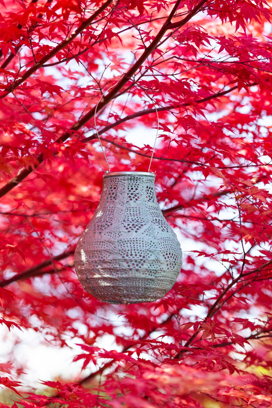 Soji Stella - Bulb - 8" Solar Lantern