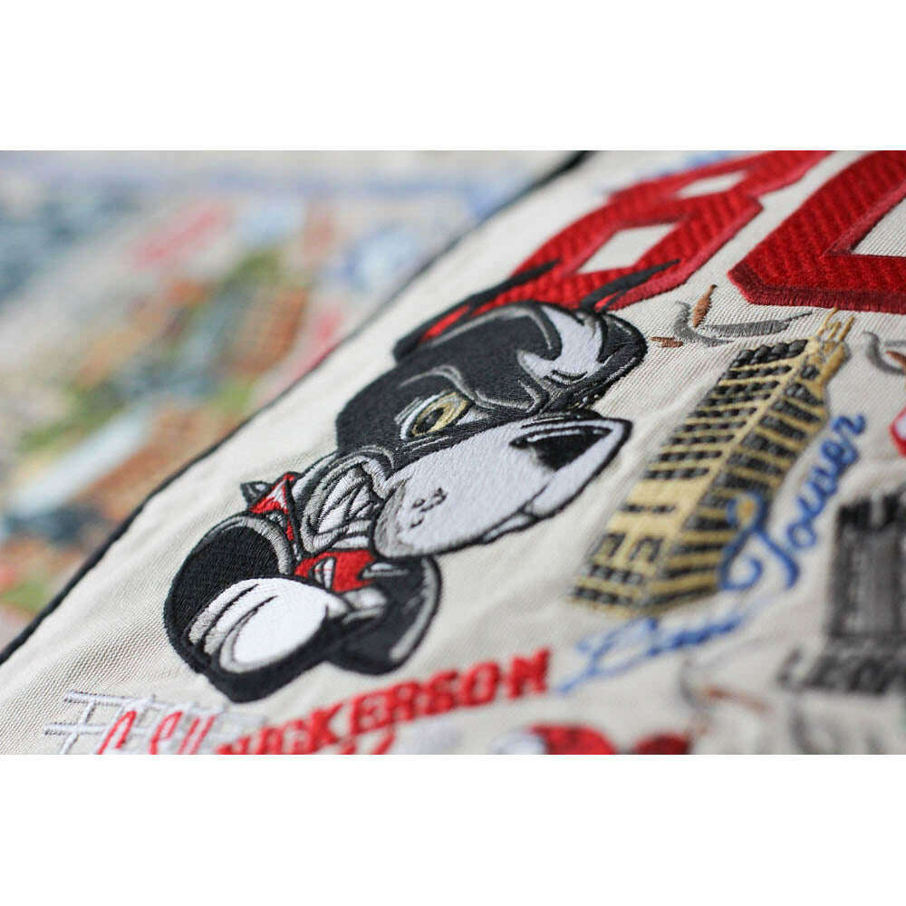 Boston University Collegiate Embroidered Pillow by CatStudio