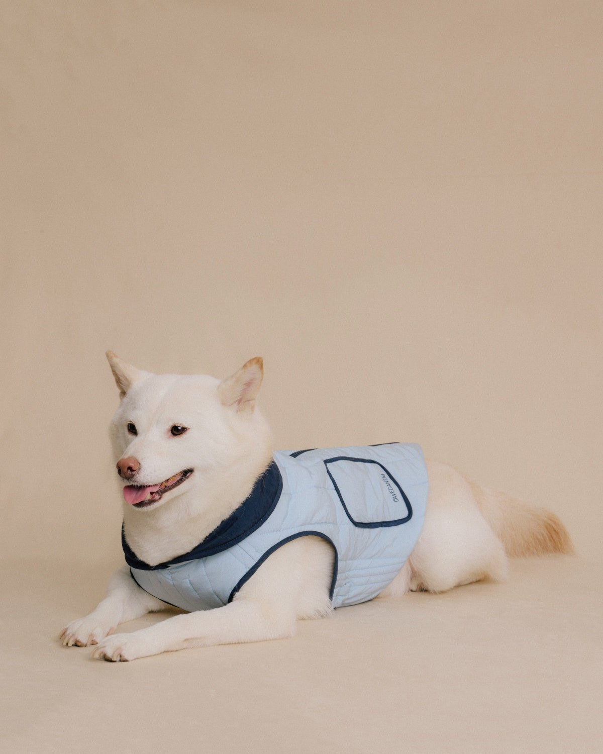 The Gemina | Reversible Quilted Dog Coat | Dawn Blue