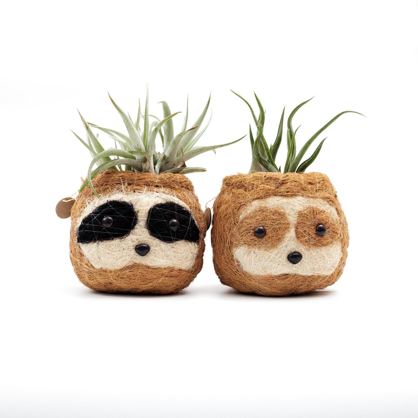 Three-tone Sloth Coco Coir Planter