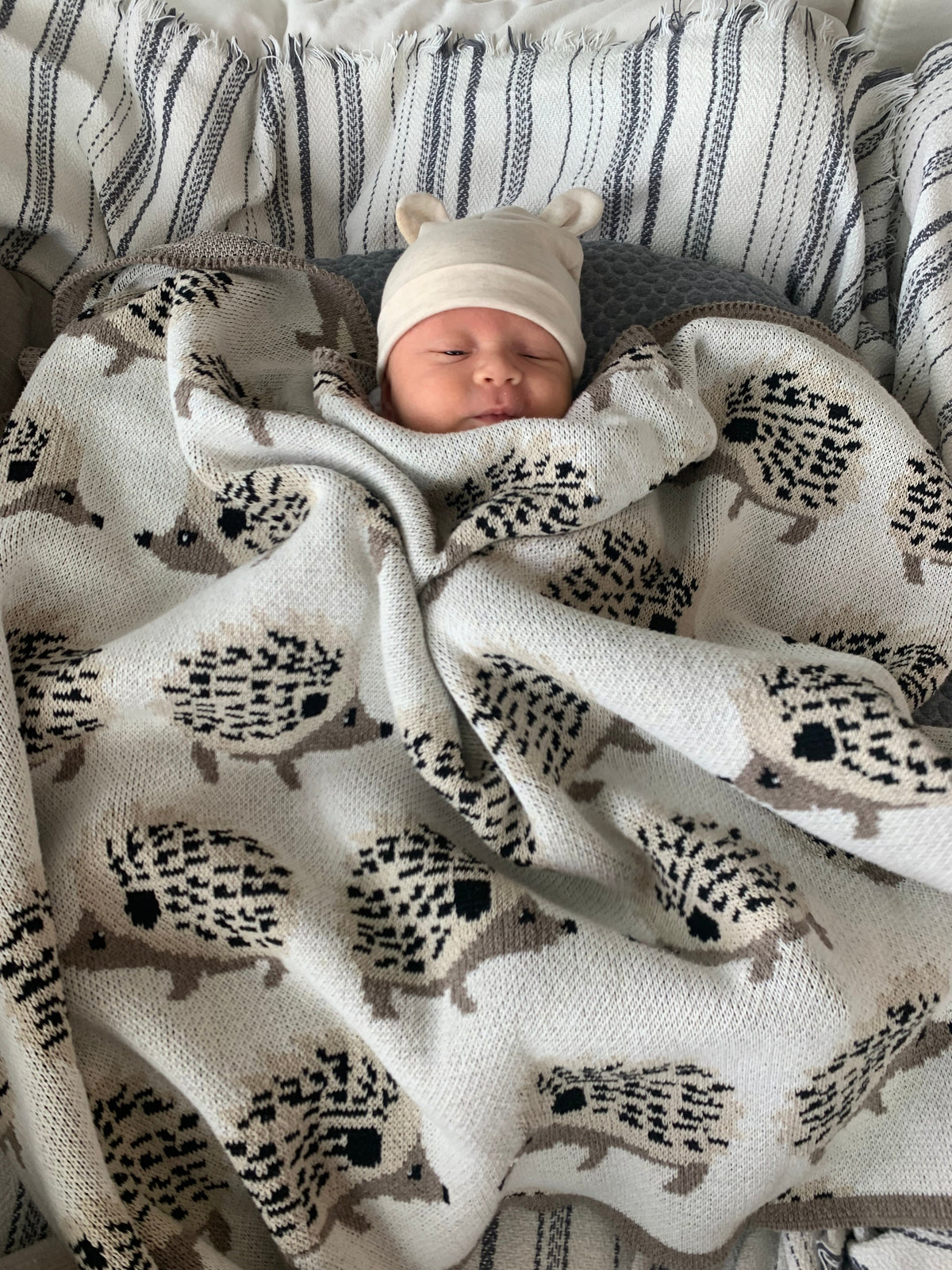 Baby Hedgehog - Cotton Knit Blanket