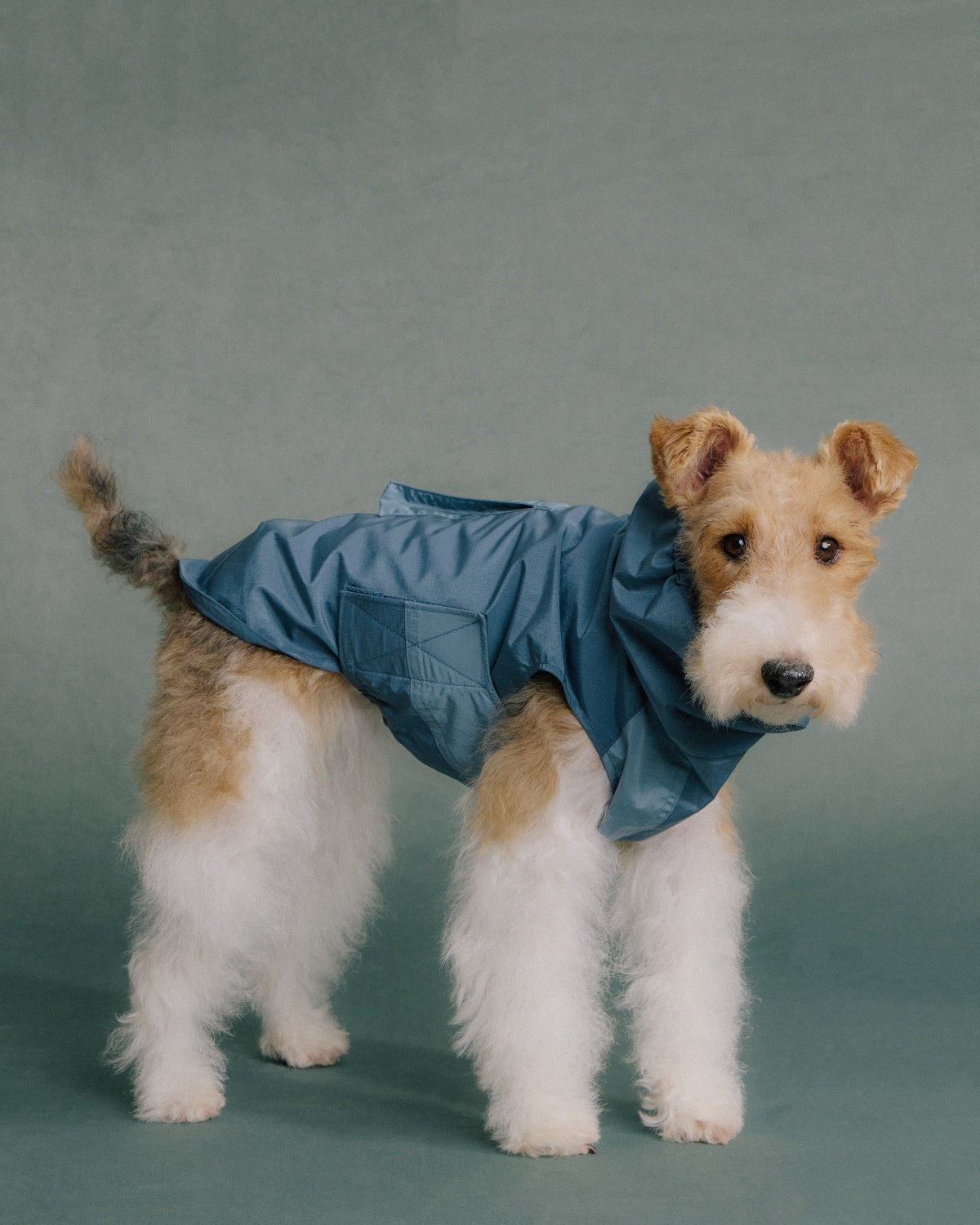 The Ventus | Reflective Waterproof Dog Raincoat | Slate Blue