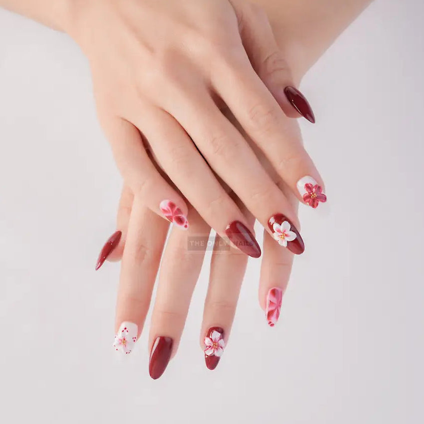 Flamenco - Osadia Concept Store