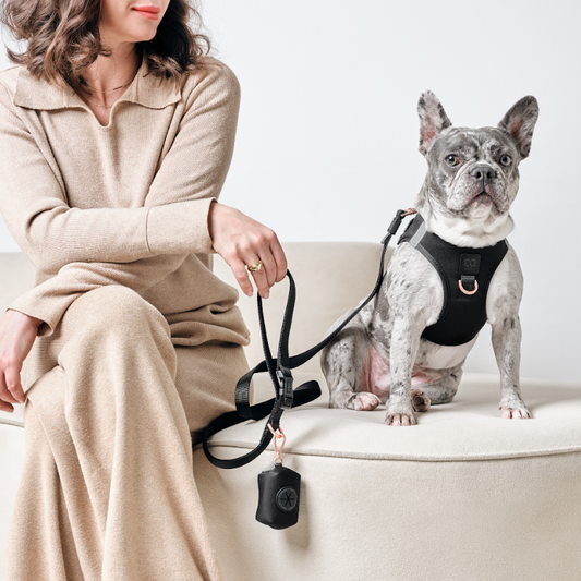 Poop Bag Holder - Black