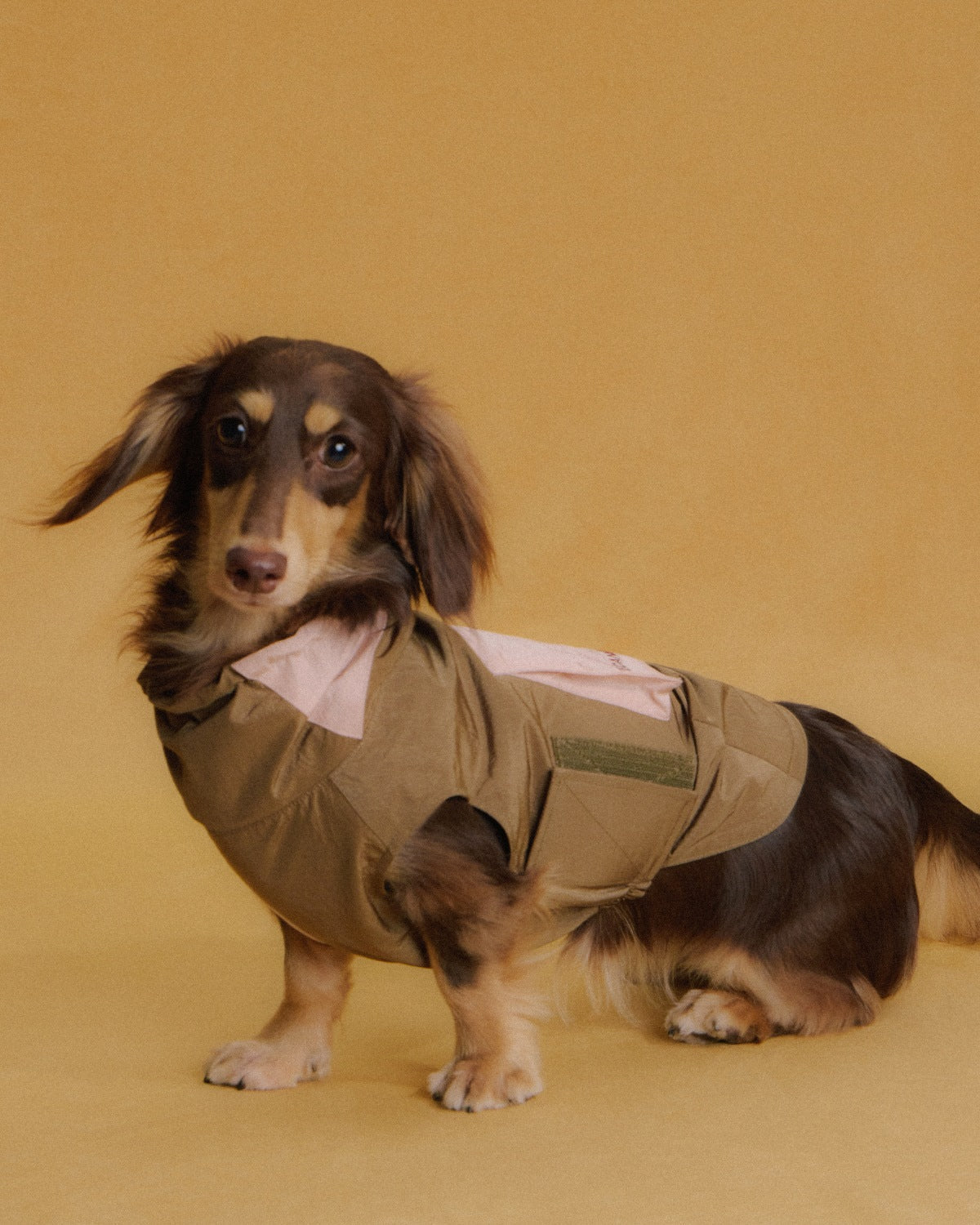 The Ventus | Reflective Waterproof Dog Raincoat | Rose Sandalwood