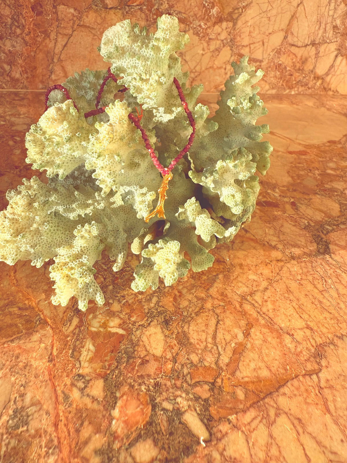 Late Night Garnet
