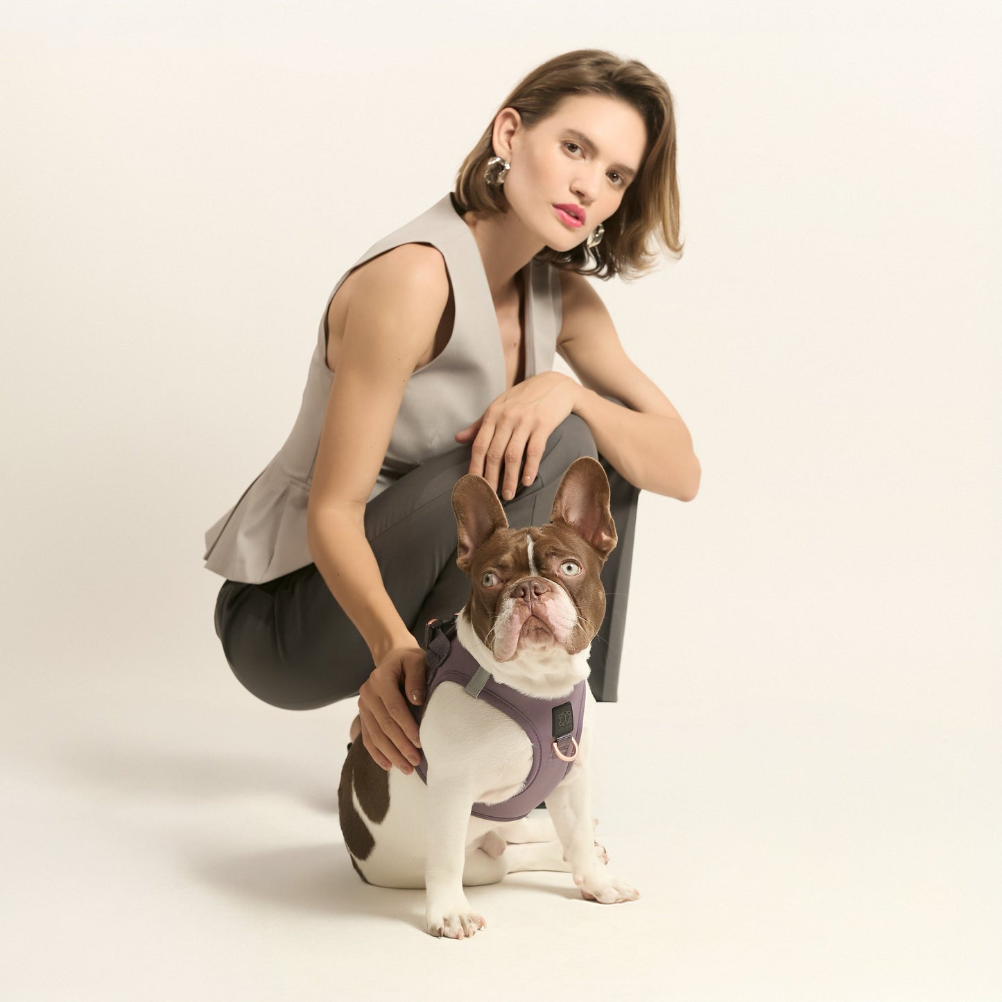 SoHo Dog Walking Set - Lilac Gray
