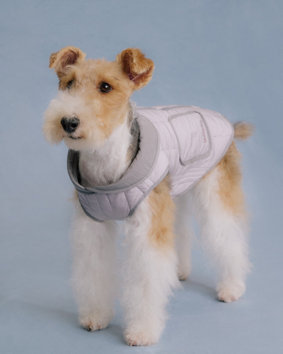 The Gemina | Reversible Quilted Dog Coat | Twilight Purple