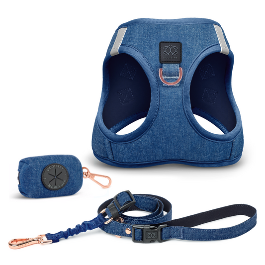 SoHo Dog Walking Set - Denim
