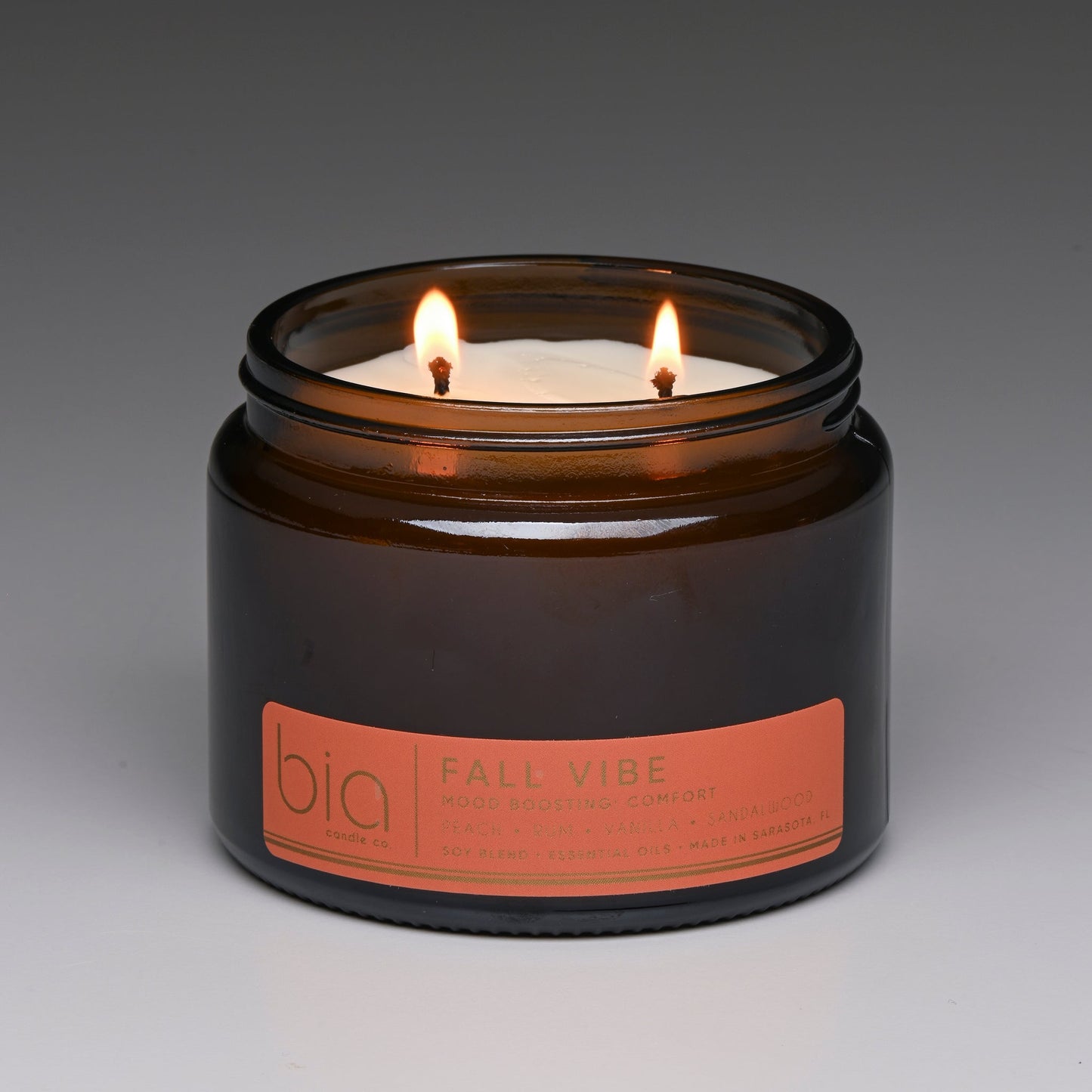 Fall Vibe Functional Fragrance Soy Blend Candle — Spiced Fruit, Cedarwood & Vanilla