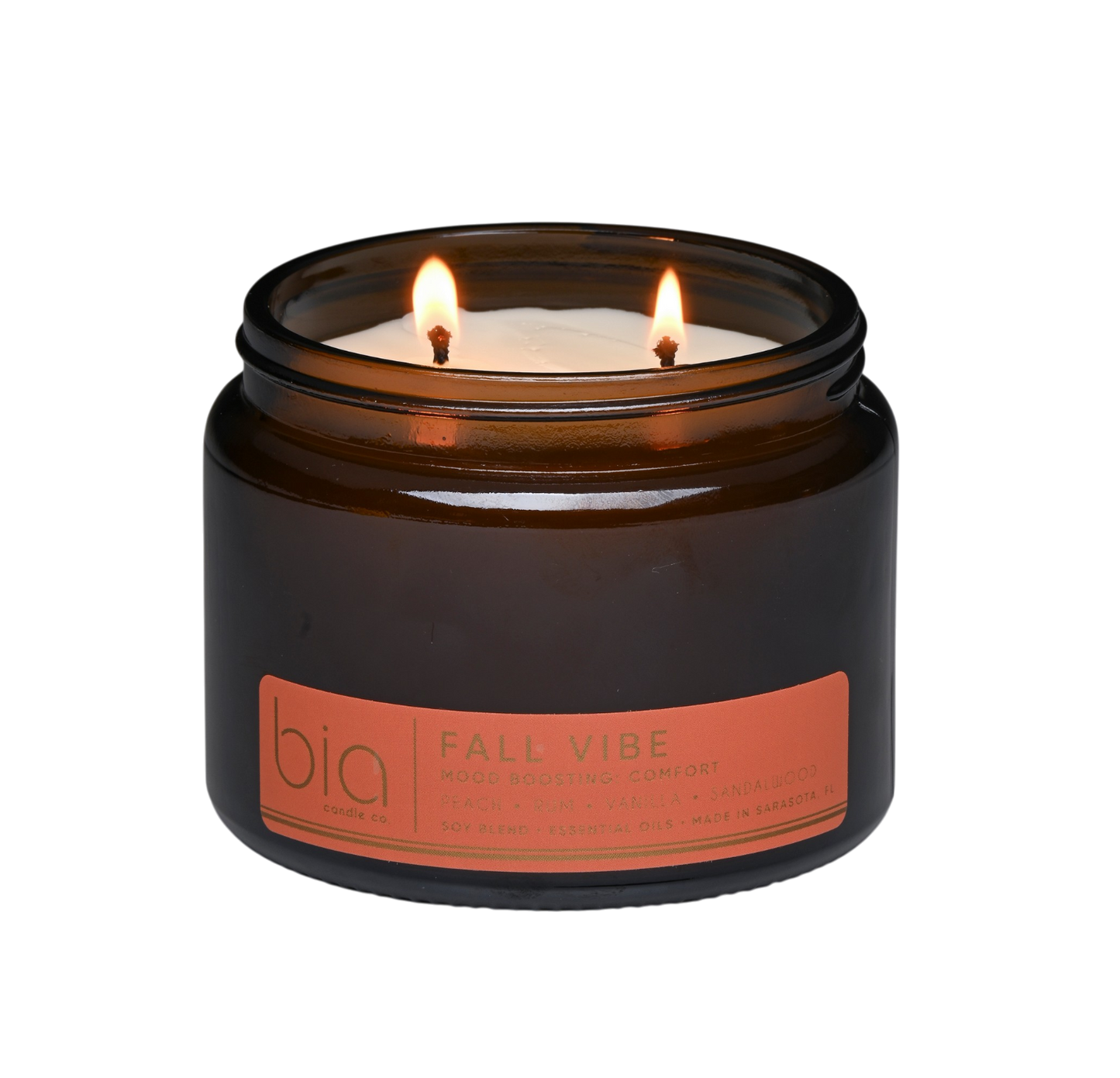Fall Vibe Functional Fragrance Soy Blend Candle — Spiced Fruit, Cedarwood & Vanilla