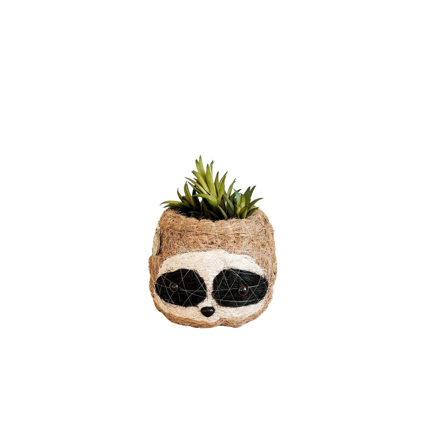Three-tone Sloth Coco Coir Planter