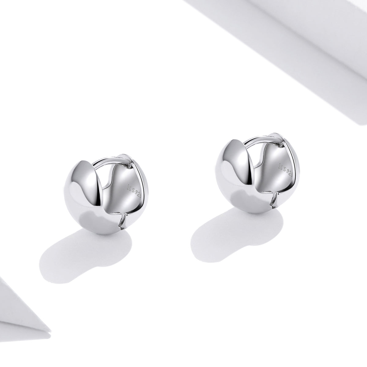 S925 Sterling Silver Platinum Plated Earrings for Women