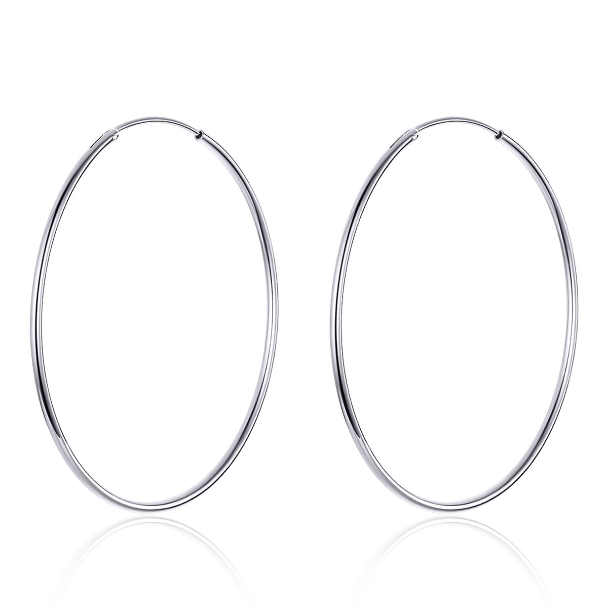 S925 Sterling Silver Earrings for Women