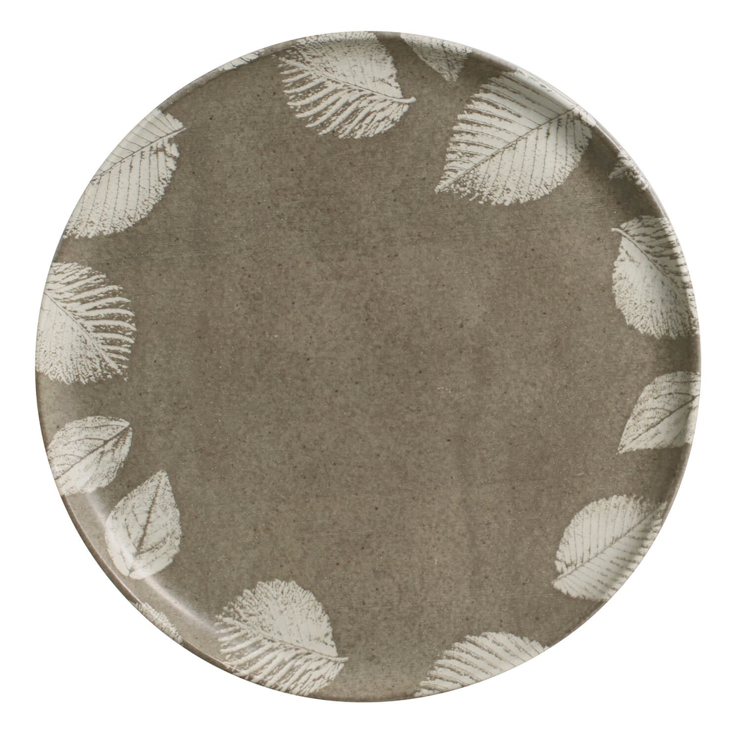 Dinner Plate Set of 6