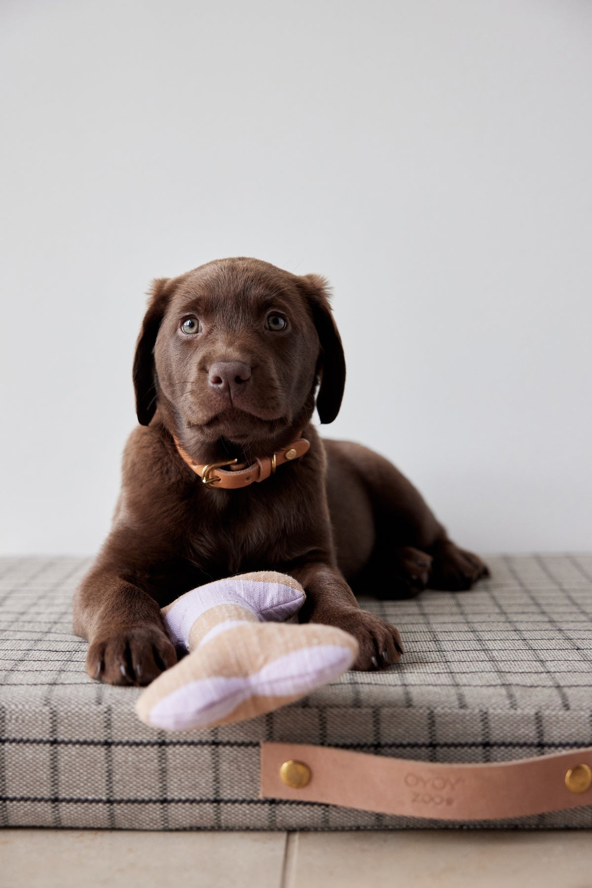 Ashi Dog Toy Large - Lavender/Amber